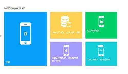 最新爆料工具下载手机版,手机版下载全攻略