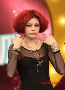 葛荟婕节目爆料最新,揭秘娱乐圈惊人内幕